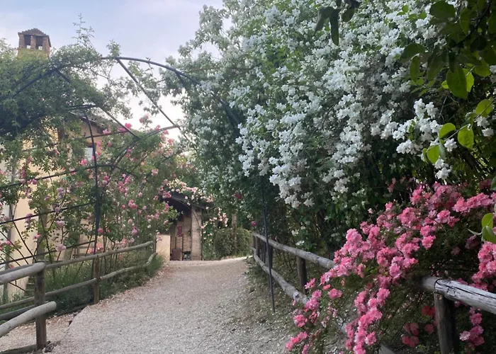 Torre Del Barbagianni - Castello Di 3* 그로파렐로