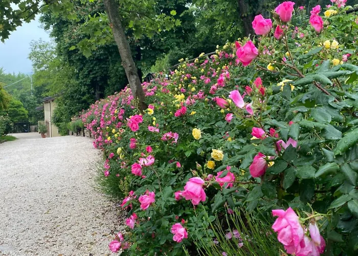 Torre Del Barbagianni - Castello Di 3* 그로파렐로