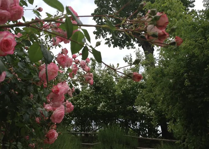 Torre Del Barbagianni - Castello Di