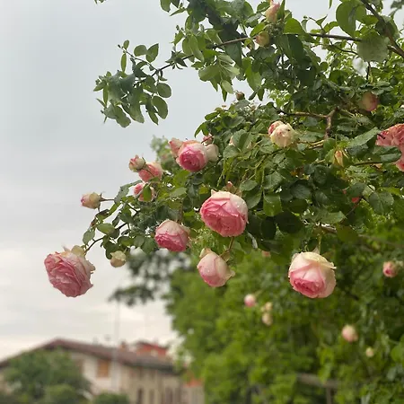 Torre Del Barbagianni - Castello Di
