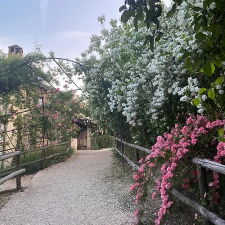 Torre Del Barbagianni - Castello Di 3* Gropparello