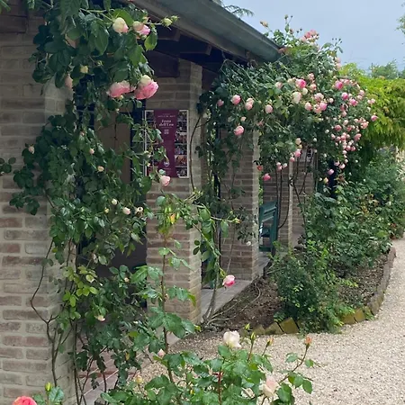 Torre Del Barbagianni - Castello Di Gropparello