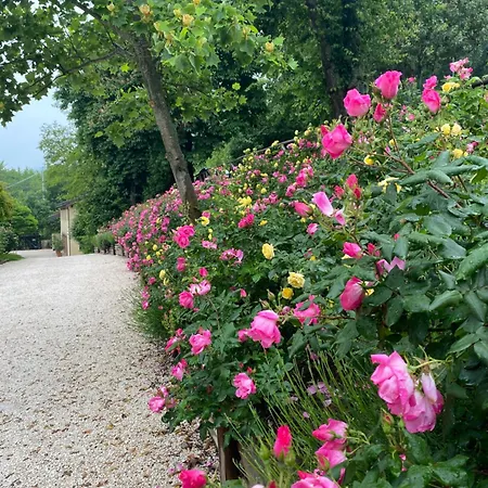 Torre Del Barbagianni - Castello Di 3* Gropparello