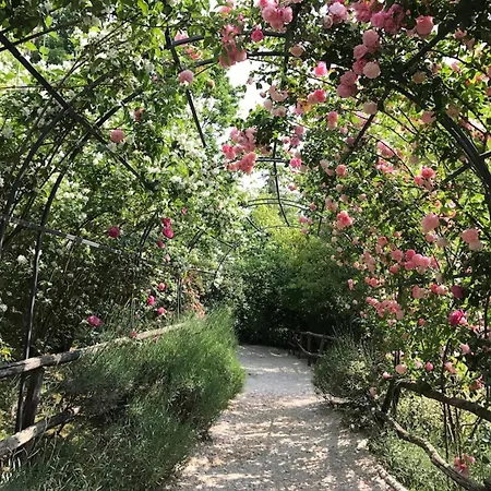 Torre Del Barbagianni - Castello Di