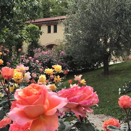 Torre Del Barbagianni - Castello Di فندق Gropparello