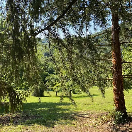 Ξενοδοχείο Torre Del Barbagianni - Castello Di 3*