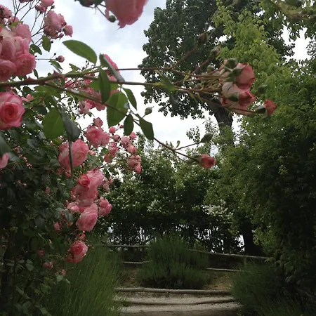 Torre Del Barbagianni - Castello Di