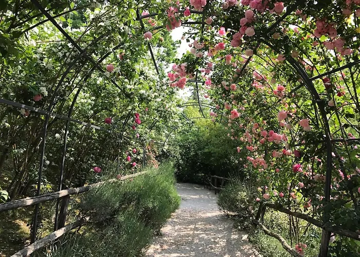 Torre Del Barbagianni - Castello Di