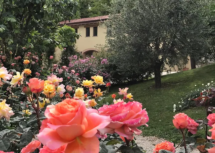 Torre Del Barbagianni - Castello Di فندق Gropparello